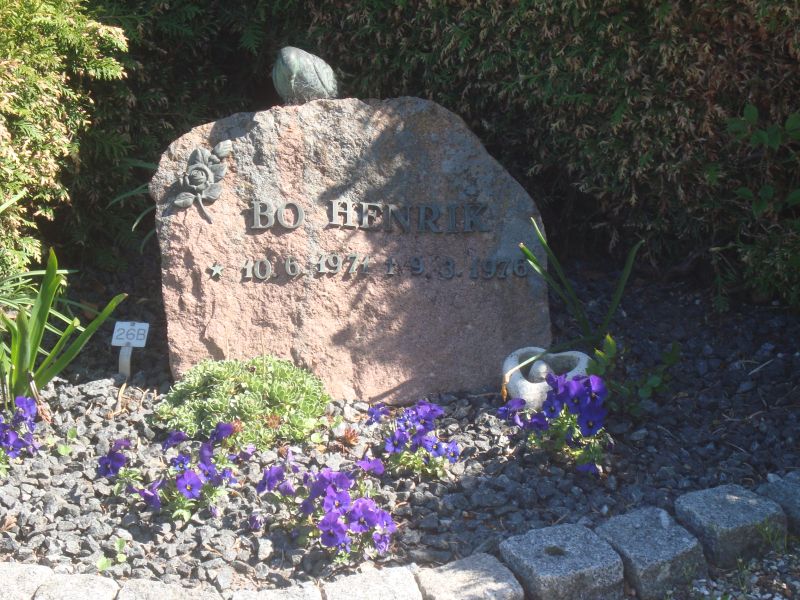 Bo Henrik.jpg
